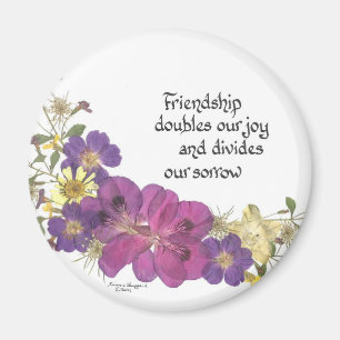 Imã Ímã da amizade