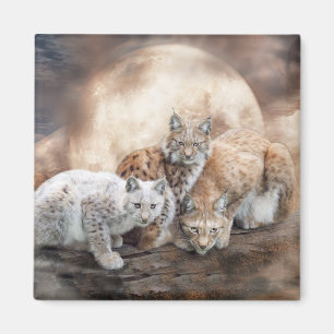 Imã Ímã da arte da lua do lince