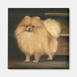 Imã Ímã da arte do cão de Pomeranian
