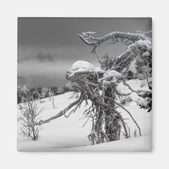 Imã ímã da árvore alienígena (Frente)