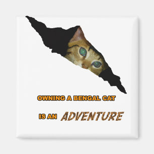 Imã Ímã da aventura