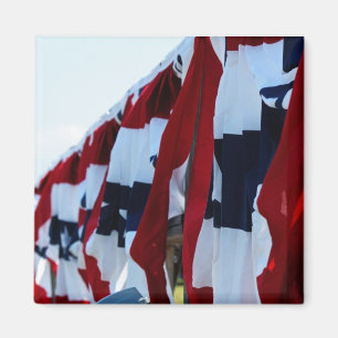 Imã Ímã da bandeira americana