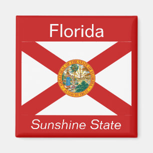 Imã Ímã da bandeira de Florida