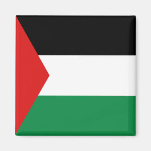Imã Ímã da bandeira de Palestina