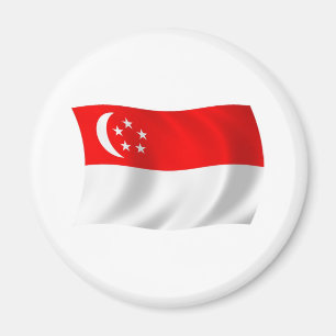 Imã Ímã da Bandeira de Singapura