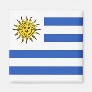 Imã Ímã da bandeira de Uruguai