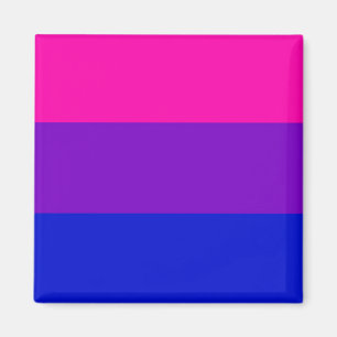 Imã Ímã da bandeira do orgulho do Bi