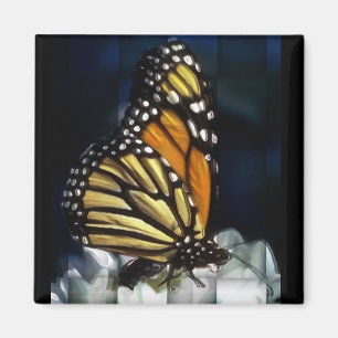 Imã ímã da borboleta