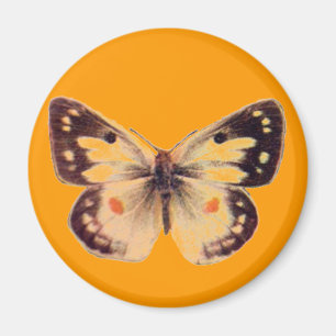 Imã Ímã da borboleta