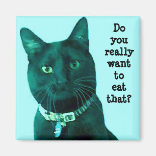 Imã Ímã da consciência culpada