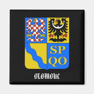 Imã Ímã da cozinha da república checa de Olomouc