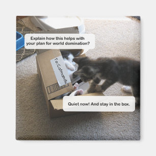 Imã Ímã da dominação do mundo do gato