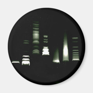 Imã Ímã da electroforese do gel do ADN