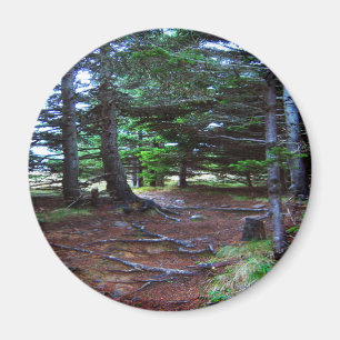 Imã Ímã da escadaria da natureza