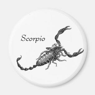 Imã Ímã da Escorpião