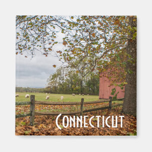 Imã Ímã da fazenda da queda de Connecticut