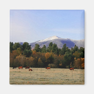 Imã Ímã da fazenda de Adirondack