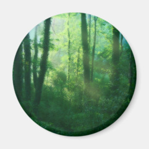 Imã Ímã da fertilidade