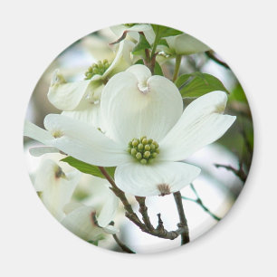 Imã Ímã da flor da árvore de Dogwood