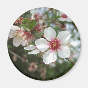 Imã Ímã da flor da flor