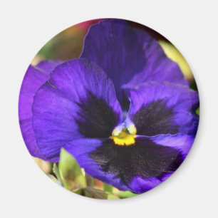 Imã Ímã da flor do amor perfeito
