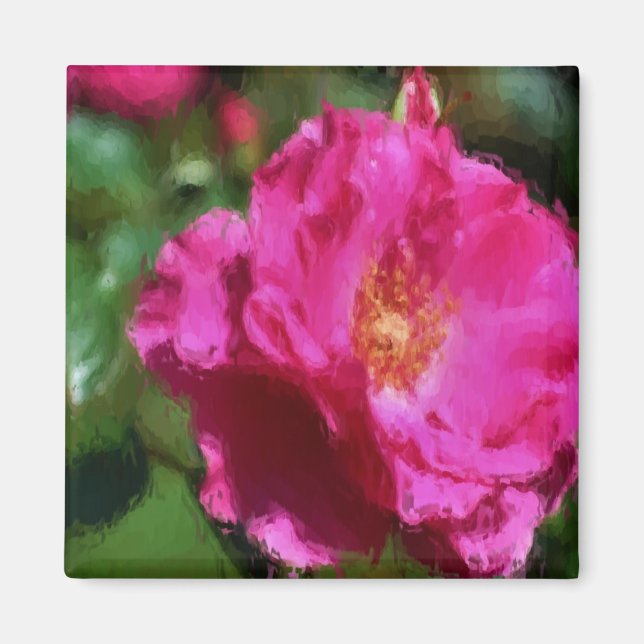 Imã Ímã da flor do desenho de giz do rosa do rosa (Frente)