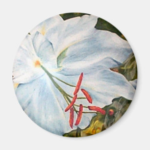 Imã Ímã da flor do lírio