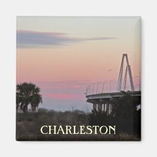 Imã Ímã da foto da lembrança de Charleston