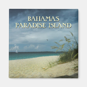 Imã Ímã da foto da lembrança do viagem de Bahamas