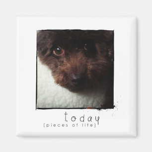 Imã ímã da foto do amigo do instagram