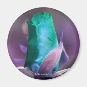 Imã Ímã da fotografia da flor do Rosebud de turquesa