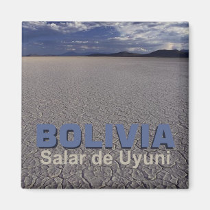Imã Ímã da lembrança do viagem de Salar de Uyuni
