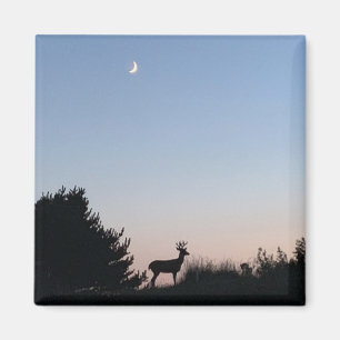 Imã Ímã da mágica do Moonrise