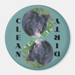 Imã Ímã da máquina de lavar louça de border collie