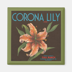 Imã Ímã da marca do lírio da corona do vintage