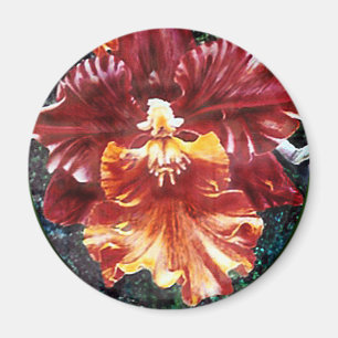 Imã Ímã da orquídea