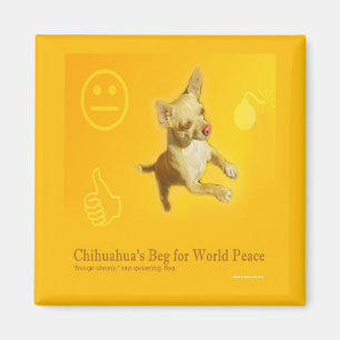 IMÃ ÍMÃ DA PAZ DA CHIHUAHUA
