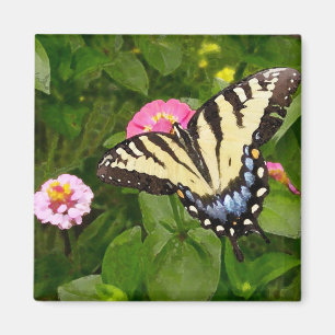 Imã Ímã da pintura da borboleta