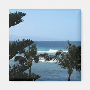 Imã Ímã da praia de Maui