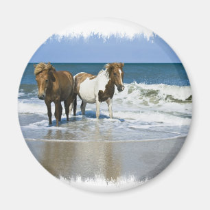 Imã Ímã da praia do cavalo