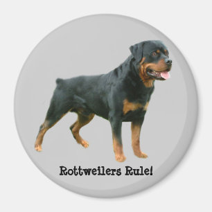 Imã Ímã da regra de Rottweilers