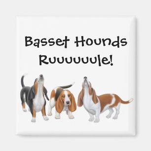 Imã Ímã da regra dos cães de Basset