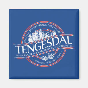 Imã Ímã da Reunião de 2016 Tengesdal