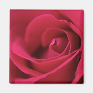 Imã Ímã da rosa vermelha