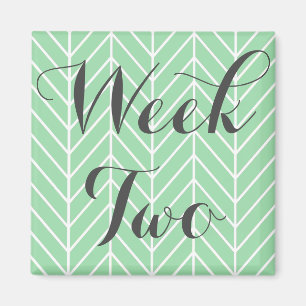 Imã Ímã da semana dois