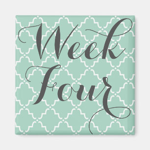 Imã Ímã da semana quatro