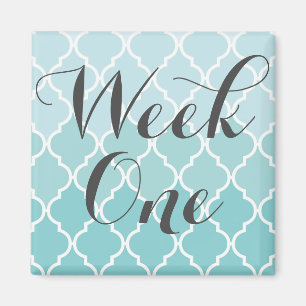 Imã Ímã da semana uma