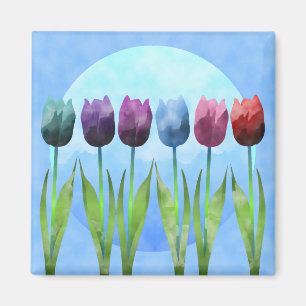 Imã Ímã da tulipa