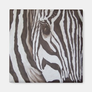 Imã Ímã da zebra