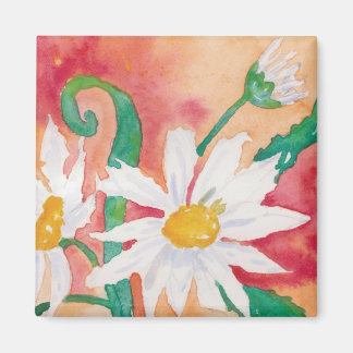 Imã ímã Daisies